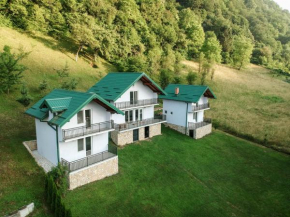 Idyllic river front holiday houses - Tišine
